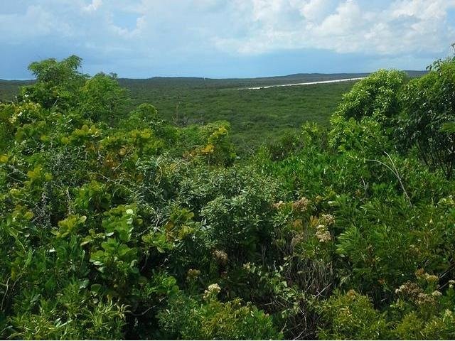 Singlefamilyvacant - Lot #49, Sunset..