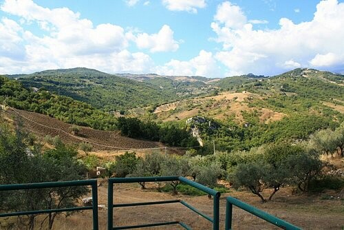 Habitable property with land and a ruin.. - 2