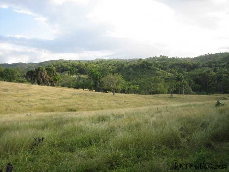 Farmland In Cabarete - 2