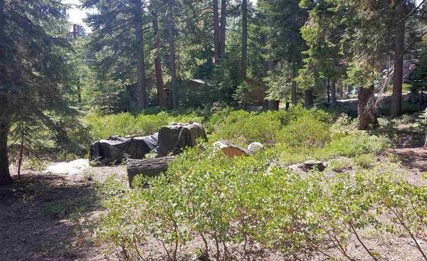 Land For Sale: Carnelian Bay, California - 2