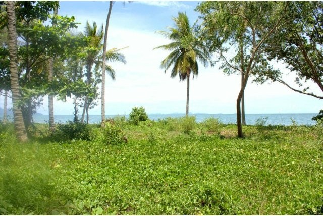 Long Beach - 10 Rai Sea Front Land in..