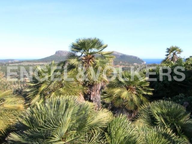 An authentic estate with sea views - 2