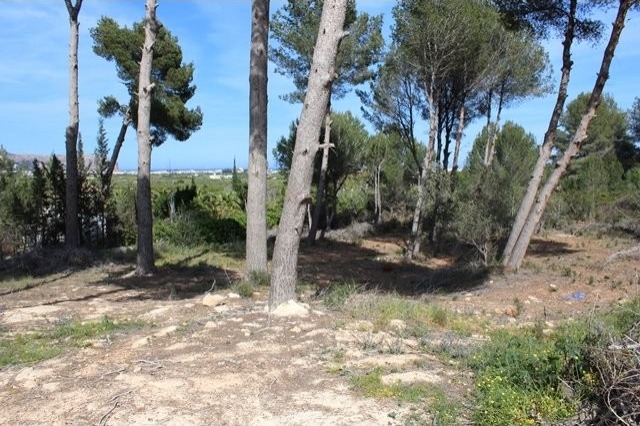 Plot in Javea