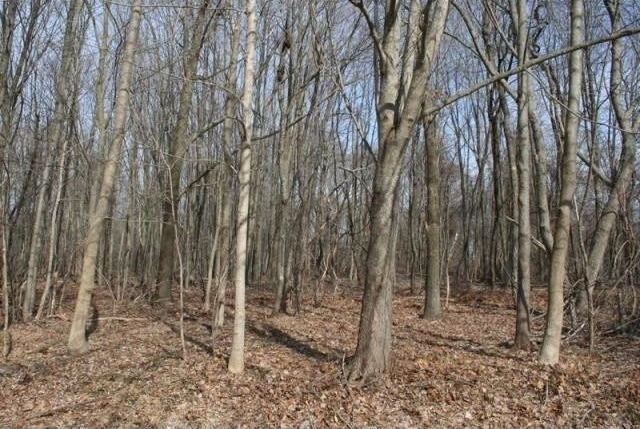 Land For Sale: Pound Ridge, New York