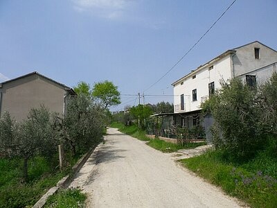 2 detached house with an olive grove.