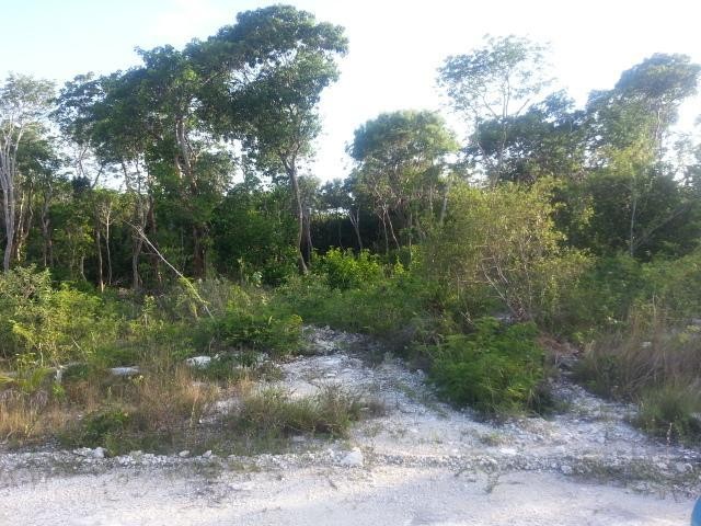 Singlefamilyvacant - This lot is.. - 2