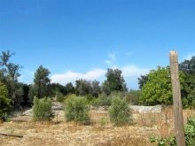 Cheap Property In Greece - 2