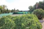 Plot, Alicante (Costa Blanca), Alfaz..