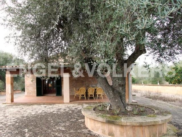 Rustic estate in San Lorenzo - 2