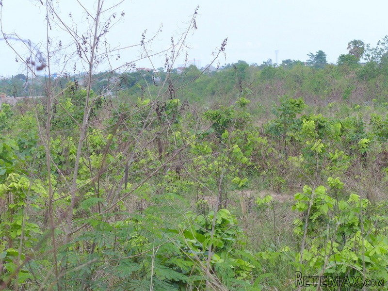 Large sea view building plot East.. - 2