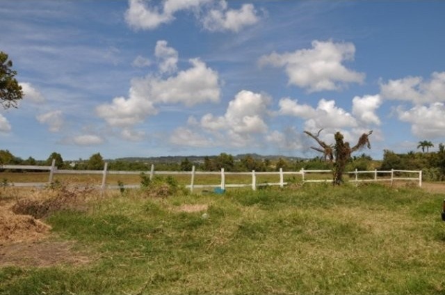 Property For Sale: Neils Plantation.. - 2