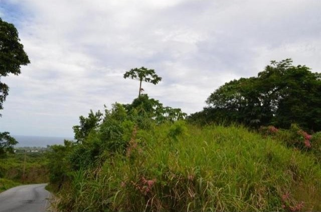 Property For Sale: Stewarts Hill, St... - 2