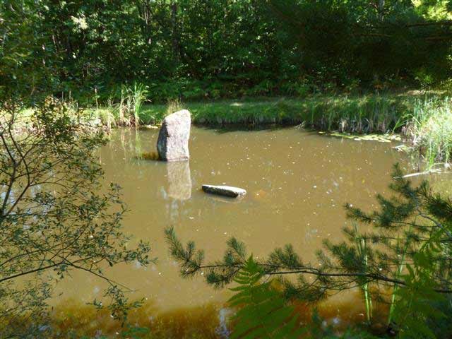 Fishing Lake With Pond And Caravan At.. - 2