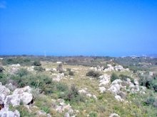 Greece Development Land For Sale - 2