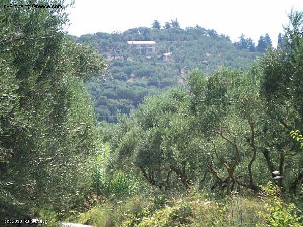 Villa - Zakynthos - For Sale