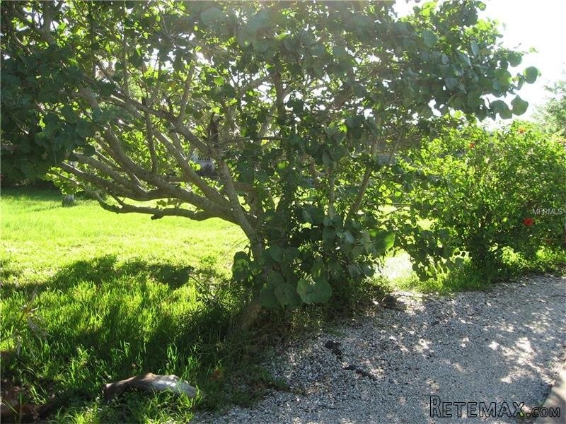 Land For Sale: 590 Companion Way..