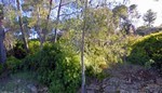 - Land - For Sale