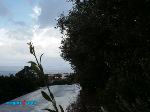 Residential Land in Argaka, Pafos - 2