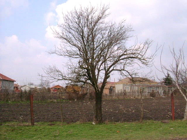 Land in Polkovnik Minkovo, Dobrich - 2