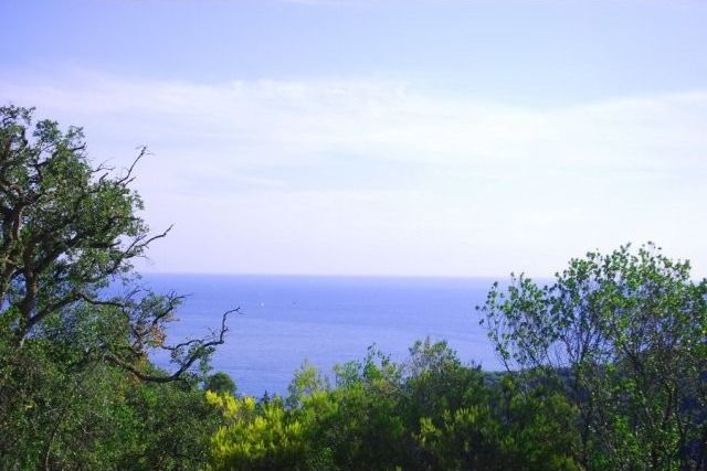 Plot with sea views
