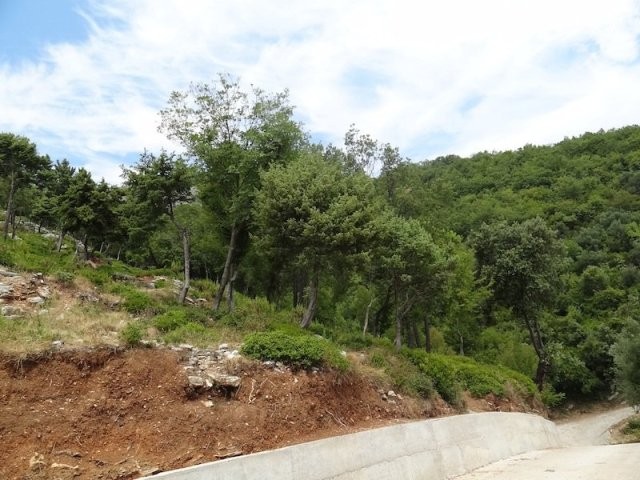 Bare land in Baošići, Herceg Novi - 2
