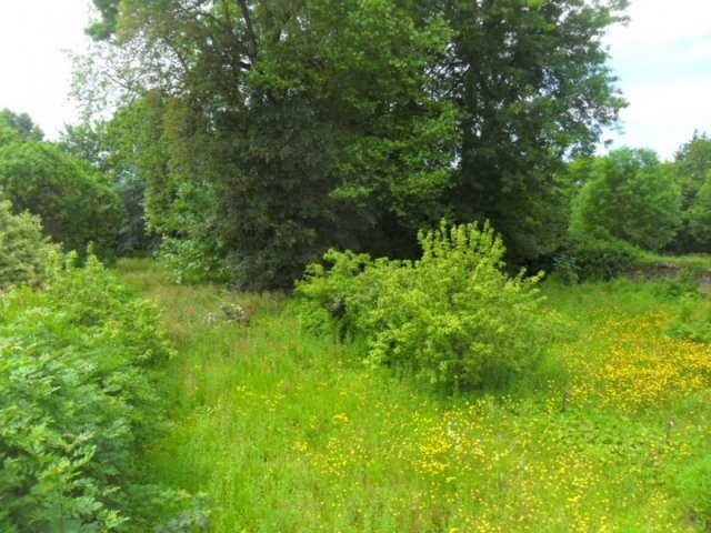 Nice Country House with 1.1 Hectares - 2