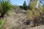 Plot, Alicante (Costa Blanca), Alfaz..