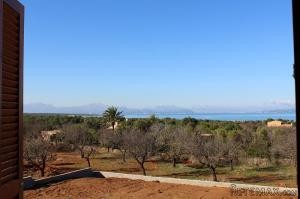 Colonia de San Pedro, finca in..