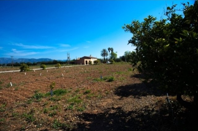Finca In Marratxi - 2