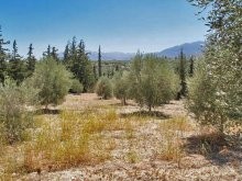 Plot For Sale In The Apokoronas - 2