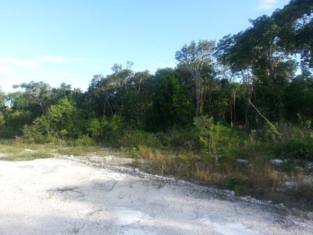 Singlefamilyvacant - This lot is..