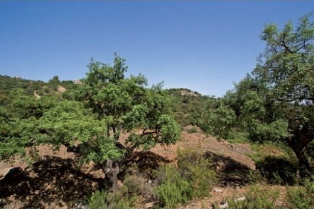 Huge Plot of Land For Sale