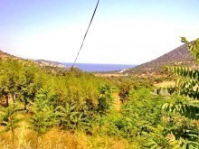 Crete Real Estate Rethymno