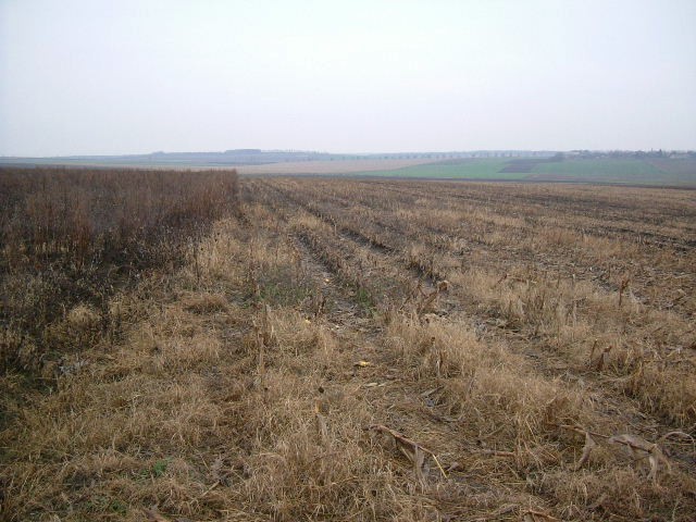 Land in Kotlentsi, Dobrich