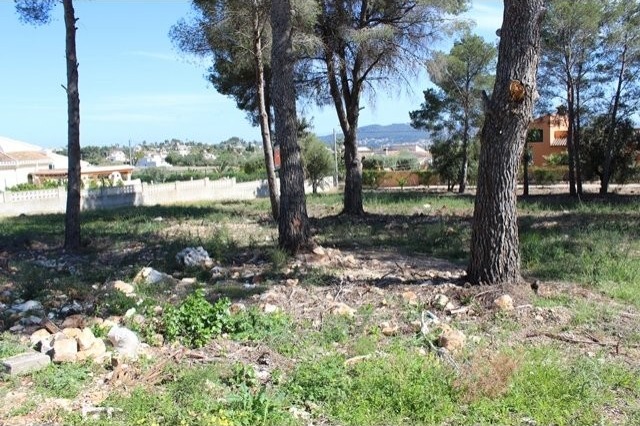 Plot in Javea - 2