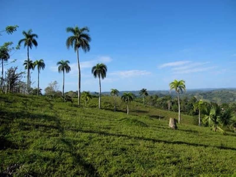 Lots For Sale On The North Coast Of The.. - 2