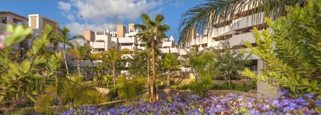 Apartment - Welcome to Bahia de la..