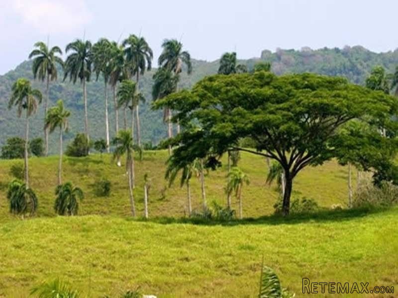 Lots For Sale On The North Coast Of The..