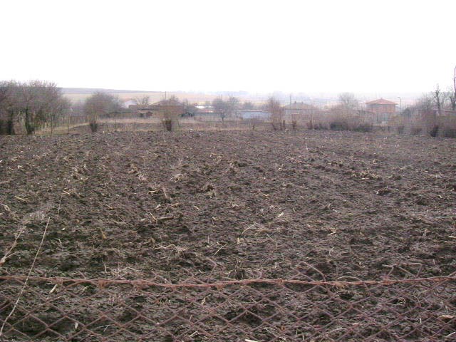 Land in Polkovnik Minkovo, Dobrich