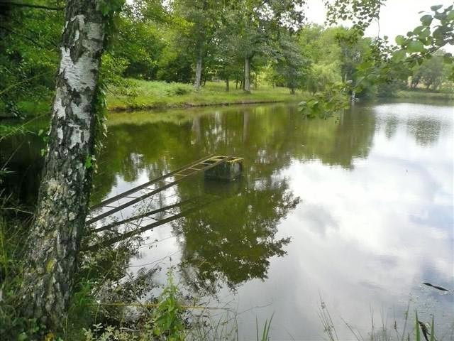 Registered Fishing Lake In The.. - 2