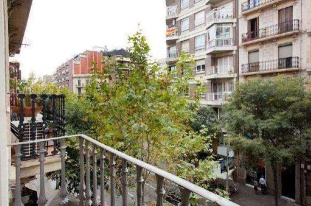 Spacious one bedroom apartment