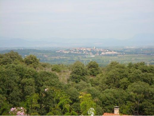 66740 Villelongue Dels Monts - 2
