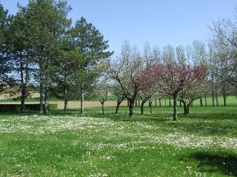 In The Countryside, In A Quiet Setting.. - 2