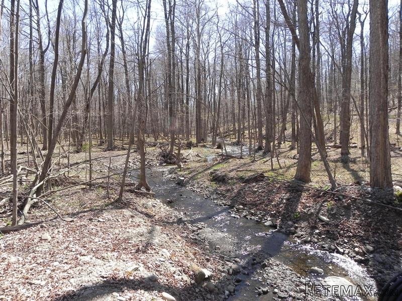Land For Sale: Milan Hill Rd Red Hook.. - 2