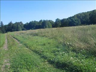 Land For Sale: Pleasant Valley, New York - 2