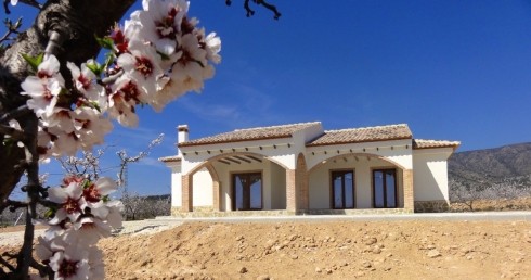New Finca Hondon De Las Frailes - 2