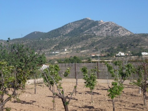 Villa in Hondon de los Frailes, Alicante - 2