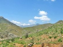 Land Property For Development In Crete.. - 2