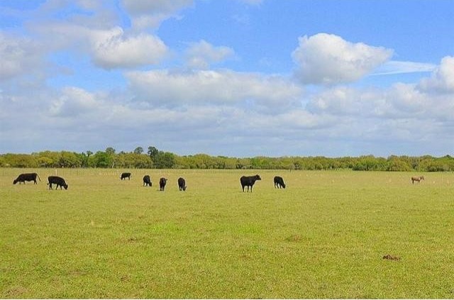 Farm House For Sale: 27914 Waller..