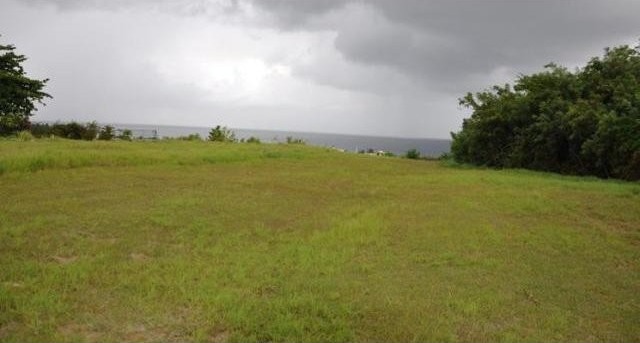 Property For Sale: Coral Cliff Lot 19..